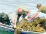 Սեւանա լճից դուրս է բերվել ապօրինի տեղադրված 41 հատ խեցգետնաորսիչ և 8 ձկնորսական ցանց