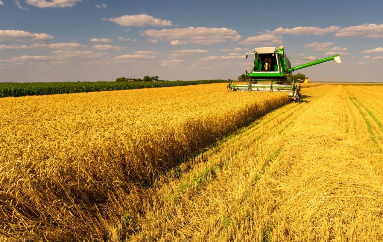 Կառավարությունը 2023 թվականին 35 միլիարդ դրամի սուբսիդավորում է իրականացնելու գյուղատնտեսական ոլորտում