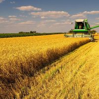 Կառավարությունը 2023 թվականին 35 միլիարդ դրամի սուբսիդավորում է իրականացնելու գյուղատնտեսական ոլորտում