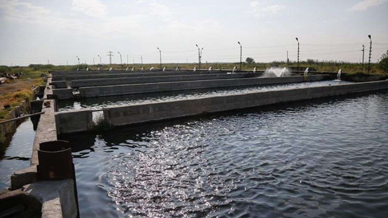 Արմավիրի մարզը սպասարկող 3 ՋՕԸ-երը ոռոգման ջրի մատակարարման տարեկան պլանները կրճատել են մինչև 30%-ով