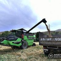 Գեղարքունիքի մարզում հացահատիկի բերքահավաքի արդյունքները գոհացուցիչ են