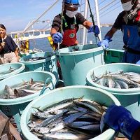Ճապոնիան հաստատել է տեղացի ձկնորսներին  աջակցության փաթեթը՝ Չինաստանից ծովամթերքի ներմուծման արգելքի ֆոնին