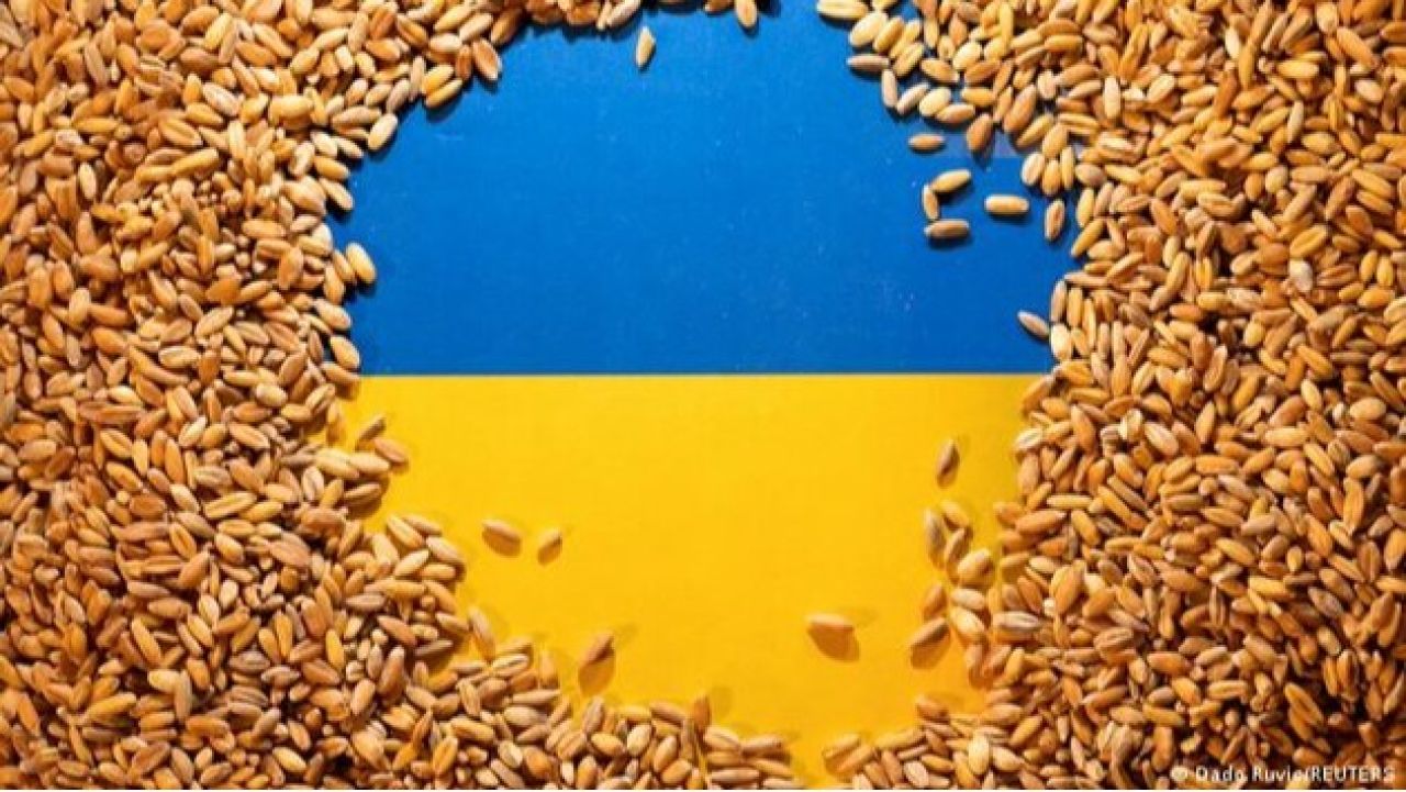 Լեհաստանը պատրաստվում է ապրիլի 1-ից արգելք մտցնել Ուկրաինայից որոշակի ապրանքների տարանցման վրա