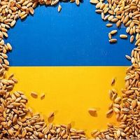 Լեհաստանը պատրաստվում է ապրիլի 1-ից արգելք մտցնել Ուկրաինայից որոշակի ապրանքների տարանցման վրա