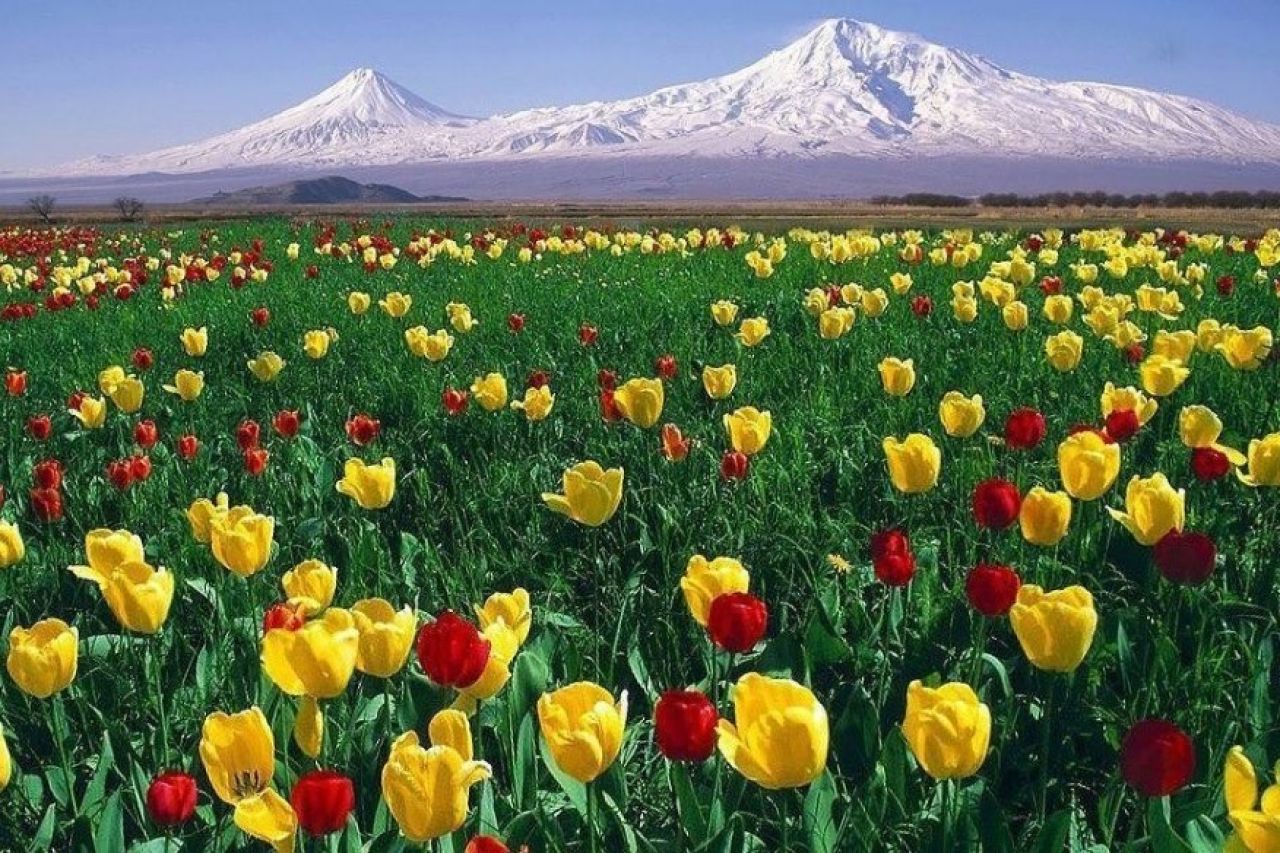 Հայաստանում այսօր սպասվում է առանց տեղումների եղանակ