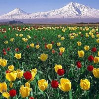Հայաստանում այսօր սպասվում է առանց տեղումների եղանակ