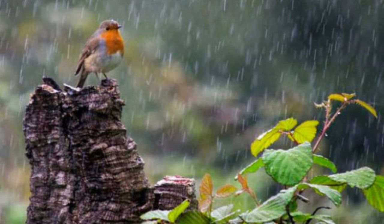 Հայաստանում այսօր ժամանակ առ ժամանակ սպասվում է անձրև և ամպրոպ, ամպրոպի ժամանակ՝ քամու ուժգնացում