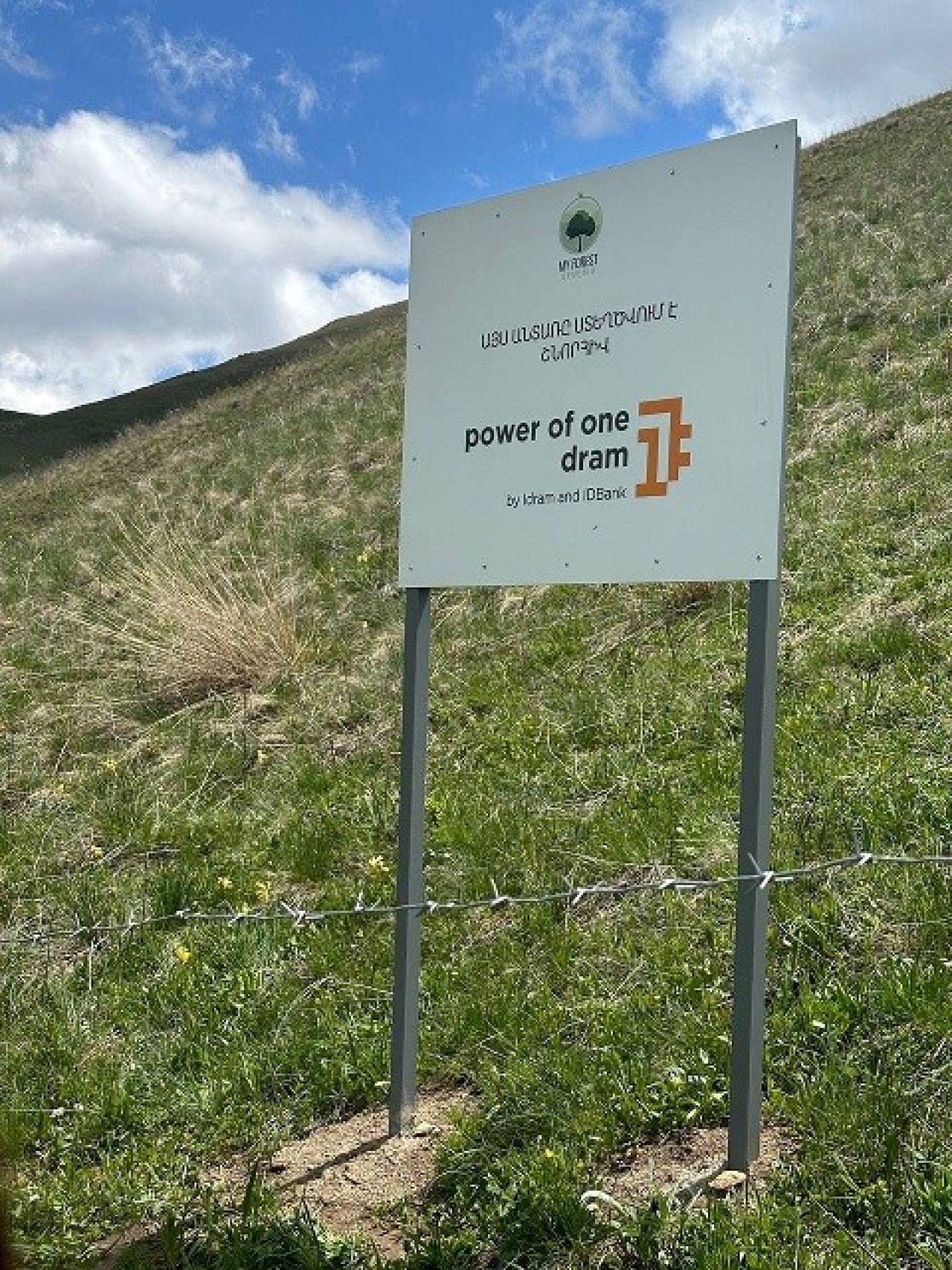 Tree Planting Results with My Forest Armenia: The Power of One Dram