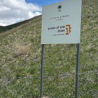 Tree Planting Results with My Forest Armenia: The Power of One Dram