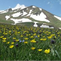 Մարտին օդի ջերմաստիճանը կլիմայական նորմայից բարձր կլինի 3-4 աստիճանով