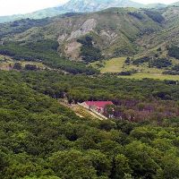 Աղավնաձոր համայնքում գտնվող հողամասի նկատմամբ վերականգնվել է ՀՀ սեփականության իրավունքը