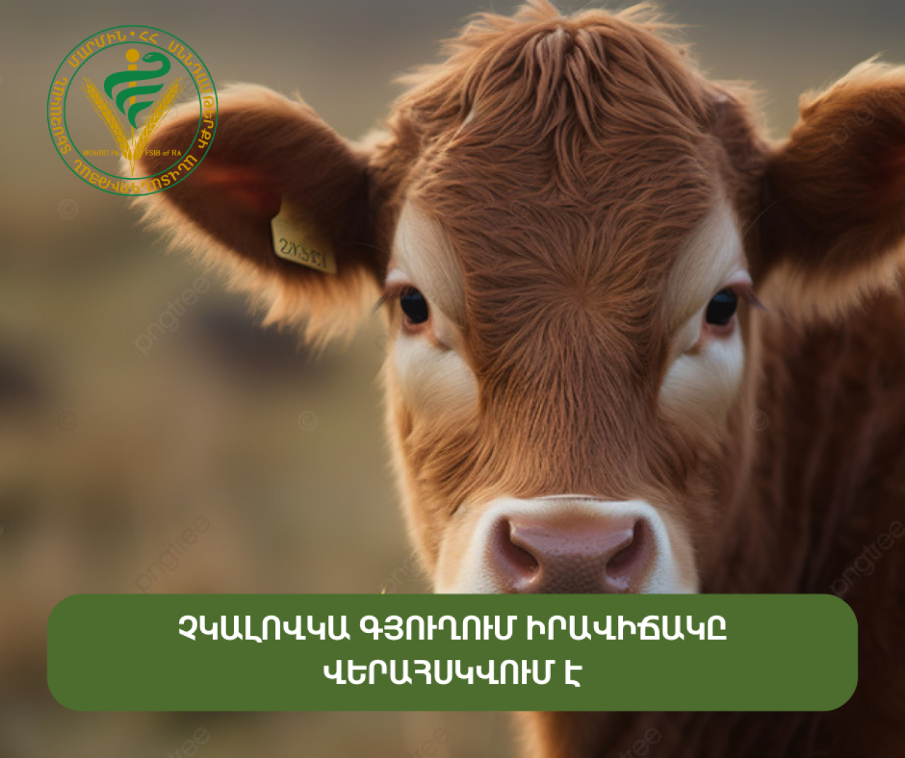 Չկալովկա գյուղում իրավիճակը վերահսկվում է