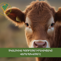 Չկալովկա գյուղում իրավիճակը վերահսկվում է