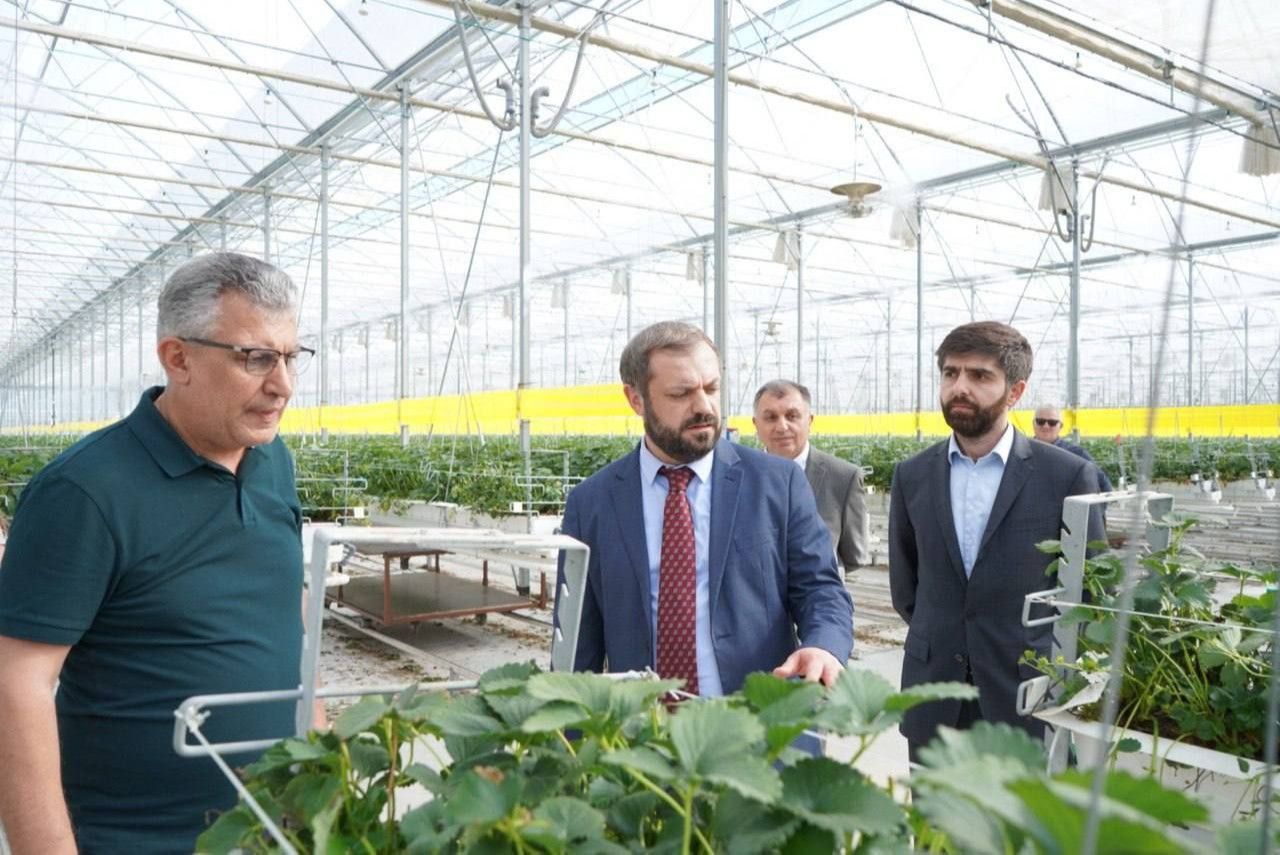 Գևորգ Պապոյանը այցելել է Կոտայքի մարզում գործող «Ռոք Բերի» ՍՊԸ-ի ջերմոցային տնտեսություն և ինտենսիվ այգիներ