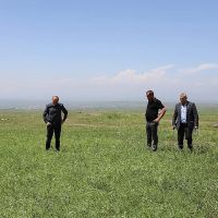 Շիրակի մարզպետ Դավիթ Առուշանյանի հանձնարարությամբ մարզպետարանի մասնագետները այցելել են Արթիկ համայնք