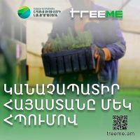 Շրջակա միջավայրի նախարարությունը գործարկում է ծառատնկման թվային հարթակ