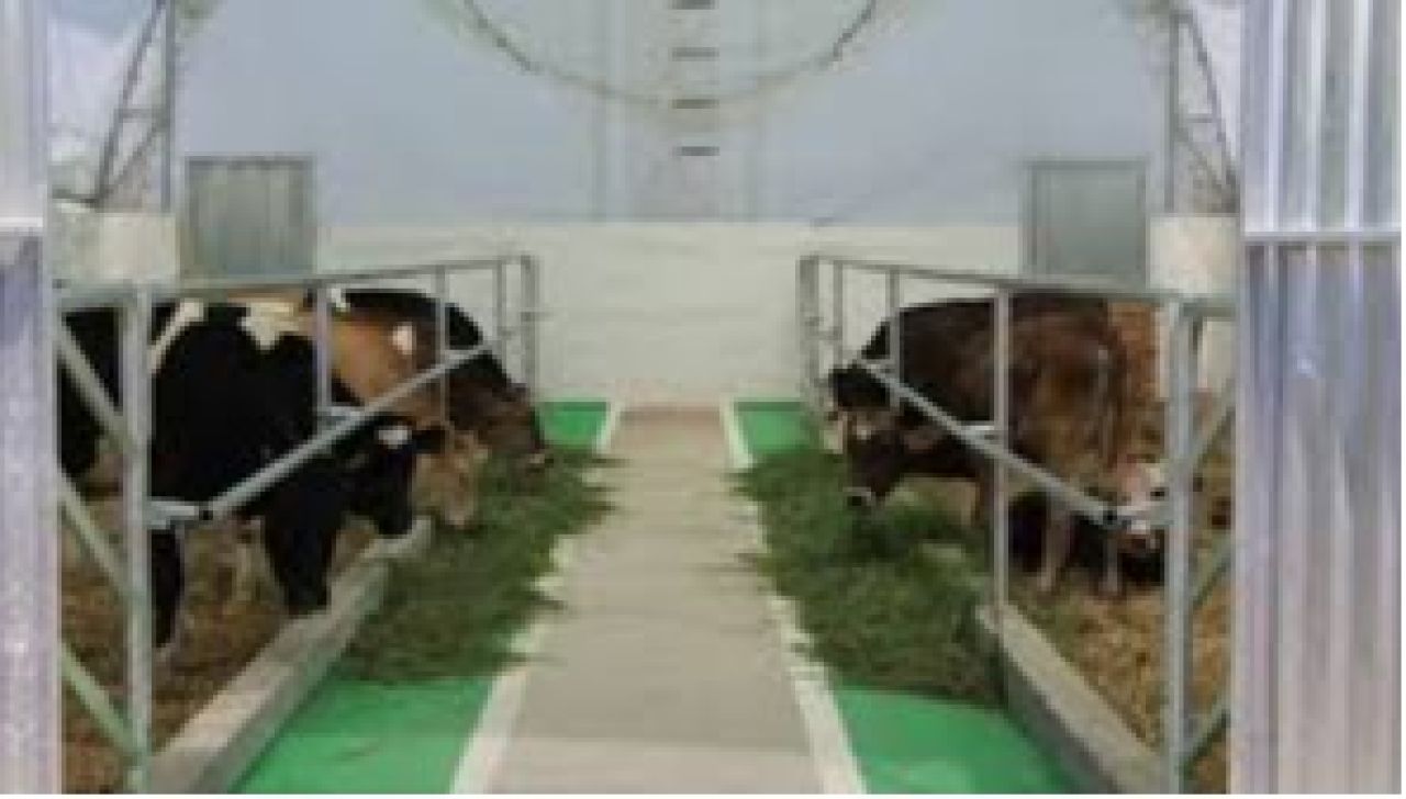 Էկոնոմիկայի նախարարությունն անդրադարձել է «Խելացի» անասնաշենքերի կառուցման կամ վերակառուցման ծրագրին