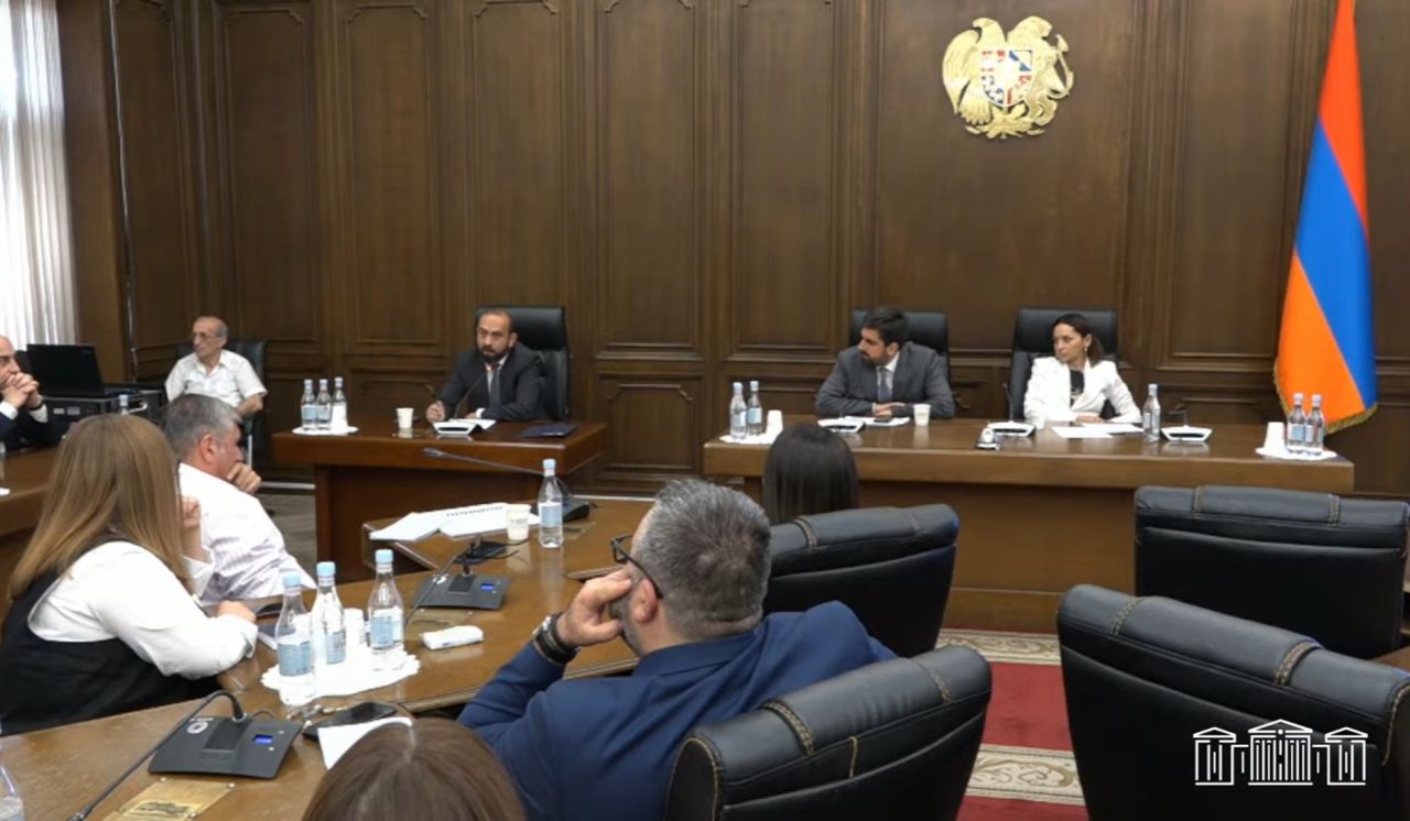 ԵՄ երկրների կողմից ՀՀ քաղաքացիներին վիզաների տրամադրման ողջ գործընթացն իսկապես մտահոգիչ է. Միրզոյան