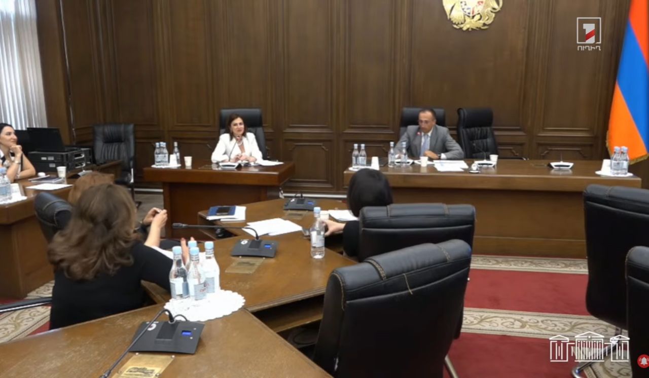 Վստահաբար գնալու ենք առողջության համապարփակ ապահովագրության ներդրման ուղիով. Ավանեսյան