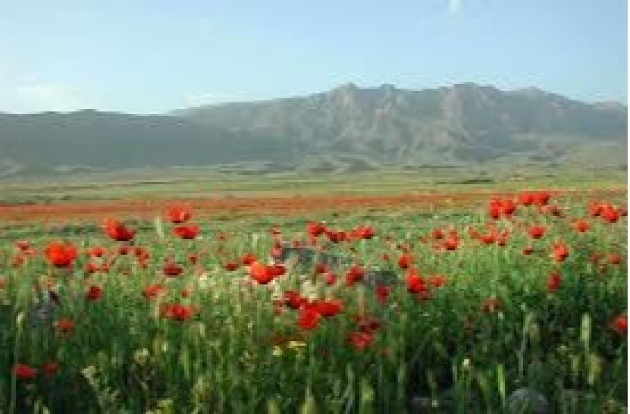 Հանրապետությունում սպասվում է առանց տեղումների եղանակ