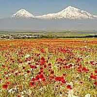 Հանրապետությունում սպասվում է առանց տեղումների եղանակ