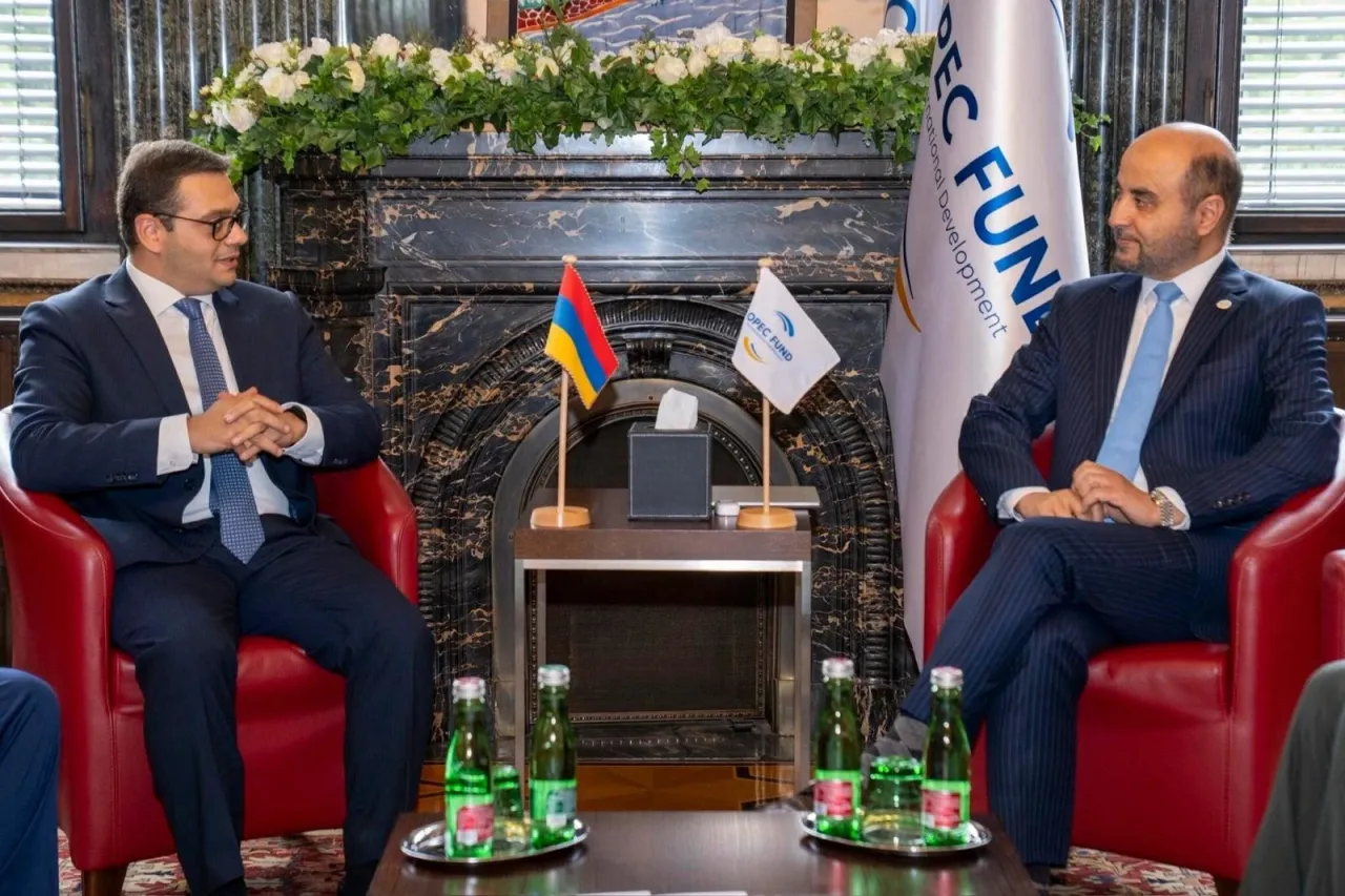 ՀՀ ԱԳ նախարարի տեղակալն ՕՊԵԿ-ի նախագահի հետ քննարկել է համագործակցության հեռանկարները