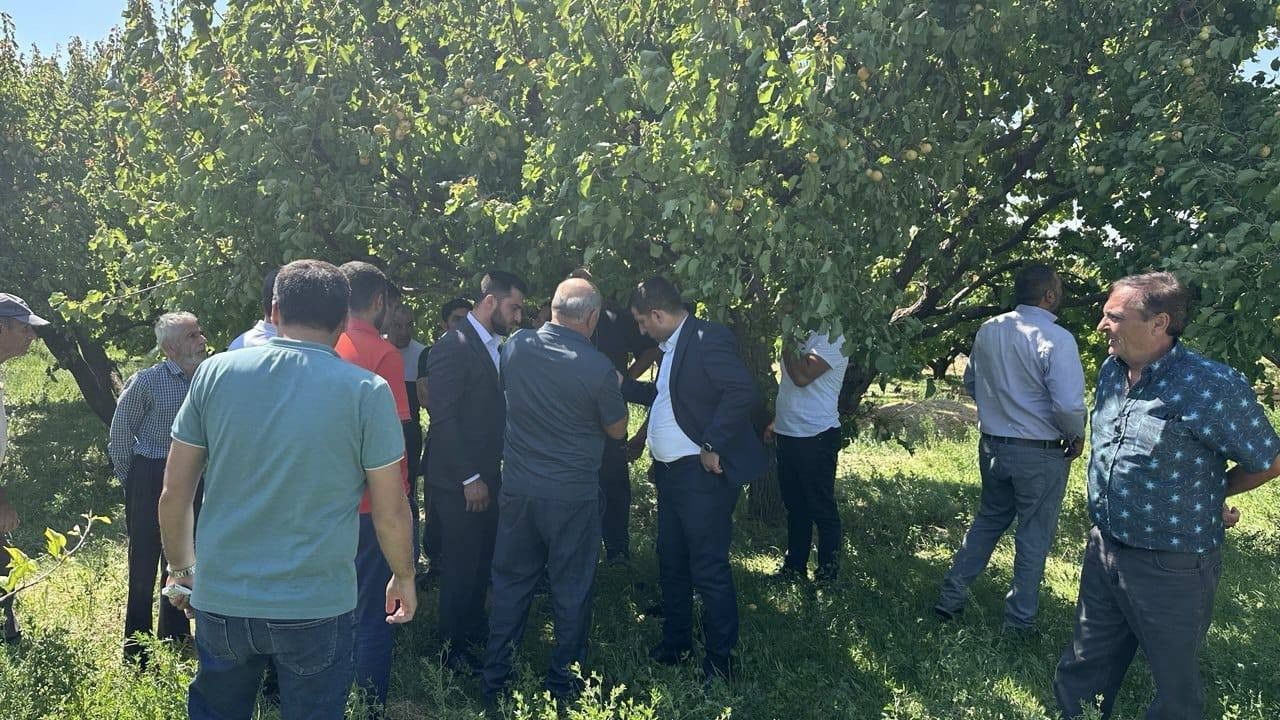 Բաղրամյան համայնքում ուսումնասիրվել են նախօրեին տեղացած ուժգին կարկուտի պատճառած վնասները
