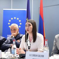 ՆԳ նախարարը ՀԸԳՀ հեռանկարին առնչվող աշխատաժողովի ընթացքում ներկայացրել է Վիզաների ազատականացման գործողությունների ծրագիրը