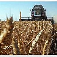 ԵԱՏՄ-ում գյուղատնտեսական մթերքների արտադրության ամենաբարձր ցուցանիշը գրանցվել է Հայաստանում. ԵՏՀ