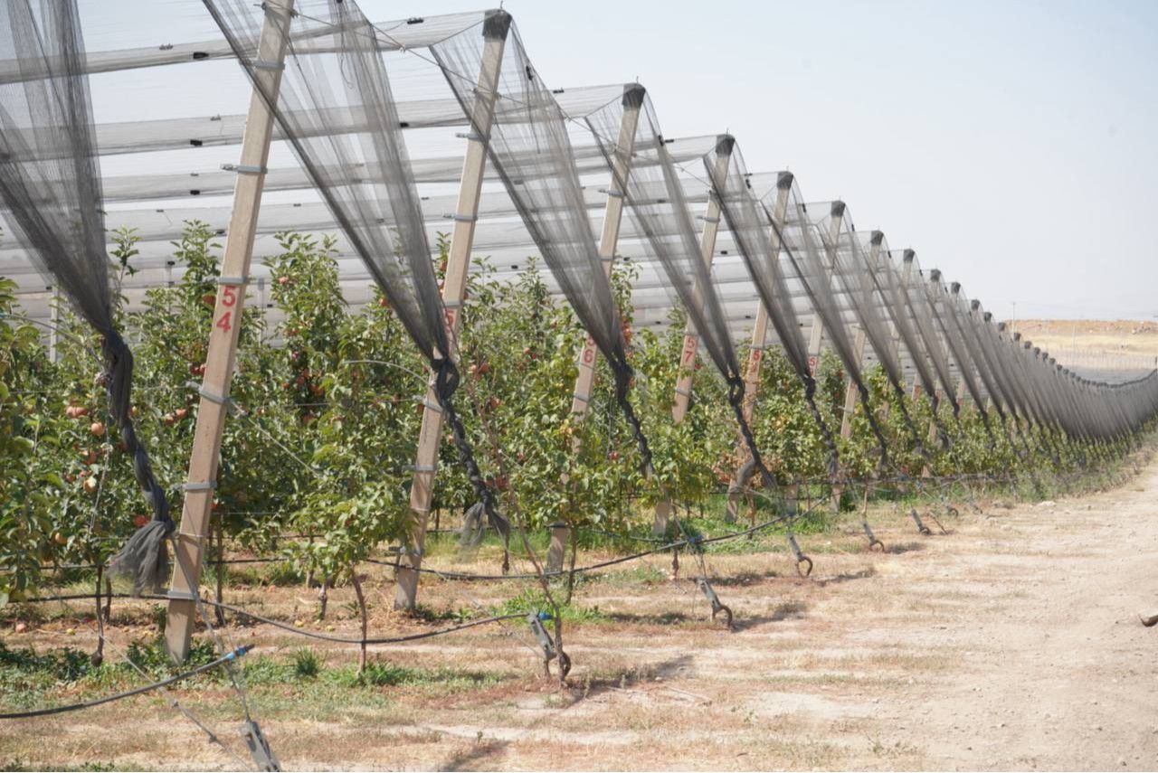 Գևորգ Պապոյանն այցելել է Կոտայքի և Արմավիրի մարզերում պետական աջակցությամբ հիմնված ինտենսիվ այգիներ