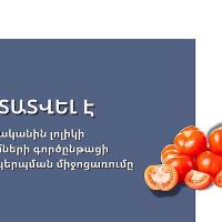Հաստատվել է 2025 թվականին լոլիկի մթերումների գործընթացի կազմակերպման միջոցառումը