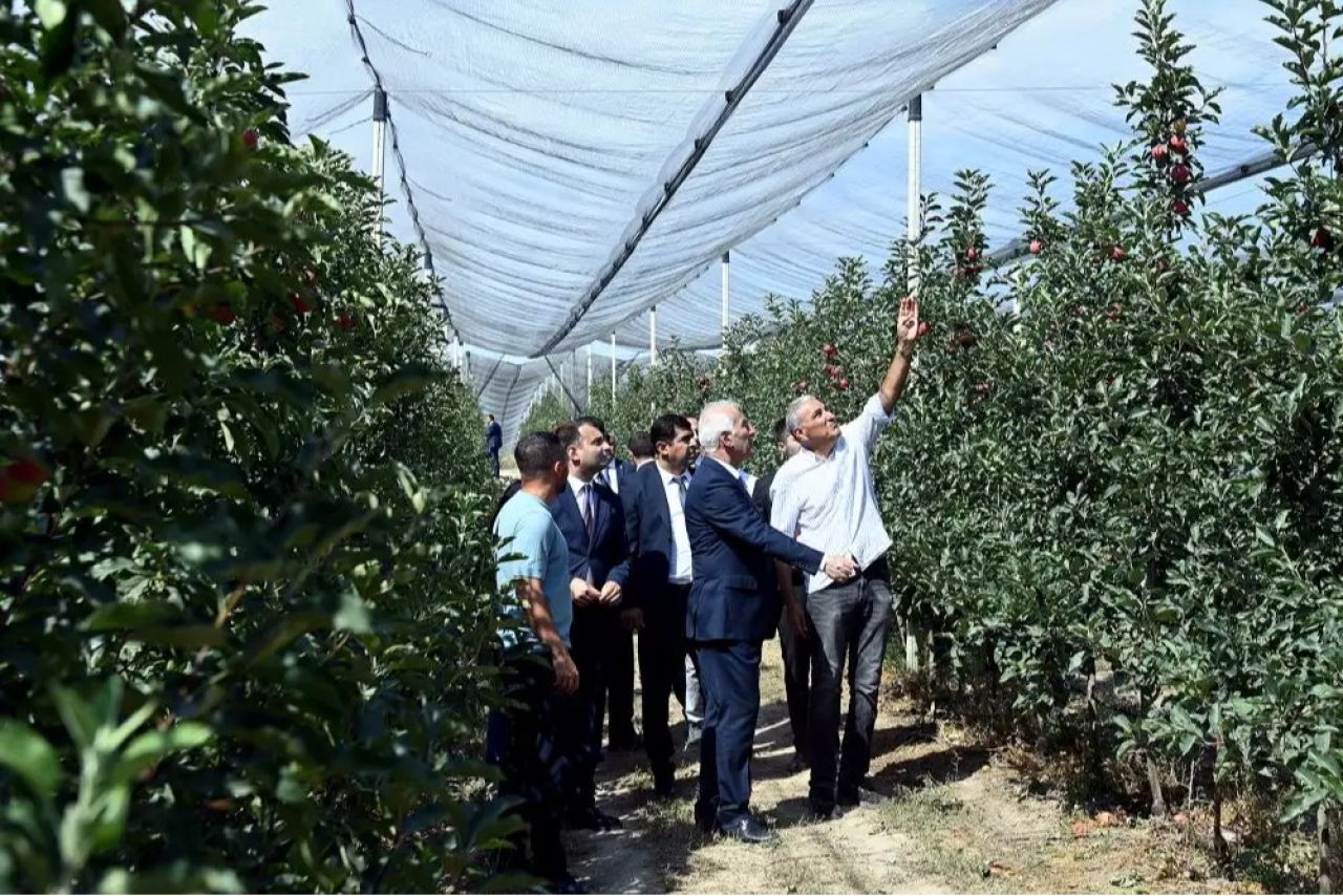 Վահագն Խաչատուրյանն այցելել է խնձորի այգիներ