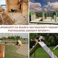 Սուբվենցիոն նոր ծրագրեր Շիրակի մարզում