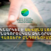 Ընդունվում են Սևանա լճում մինչև նոյեմբերի 20-ը ևս 620 տոննա արդյունագործական ձկնորսության հայտեր