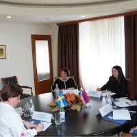 Քննարկվել են Հայաստան-Շվեդիա առևտրատնտեսական հարաբերությունների ընդլայնման հարցեր