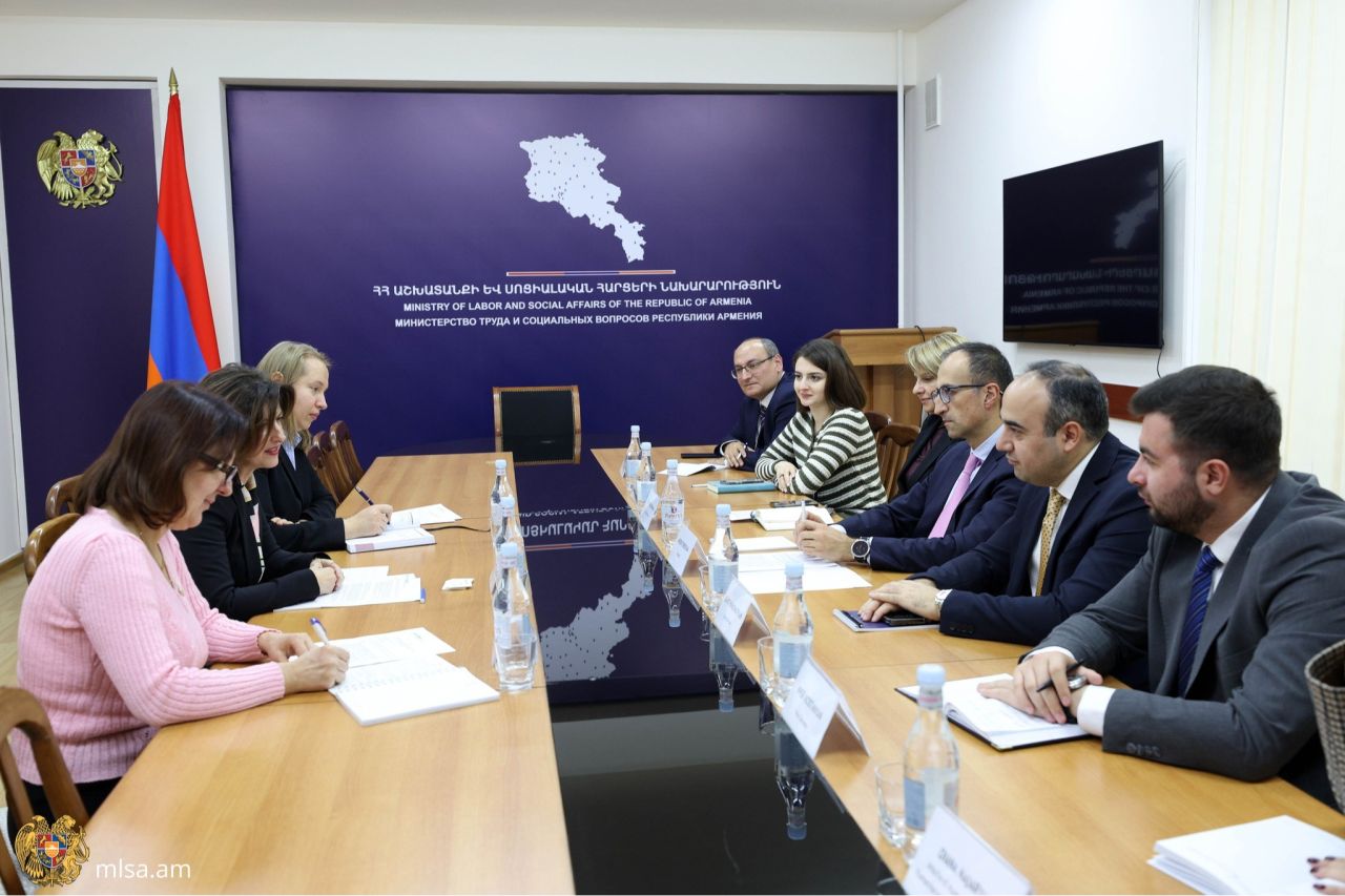 Ա․ Թորոսյանը հանդիպել է ունեցել ՄԱԿ֊ի փախստականների հարցերով գերագույն հանձնակատարի  հայաստանյան գրասենյակի ներկայացուցչի հետ