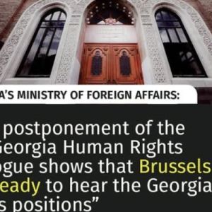 Georgia’s Ministry of Foreign Affairs has criticised the European Union