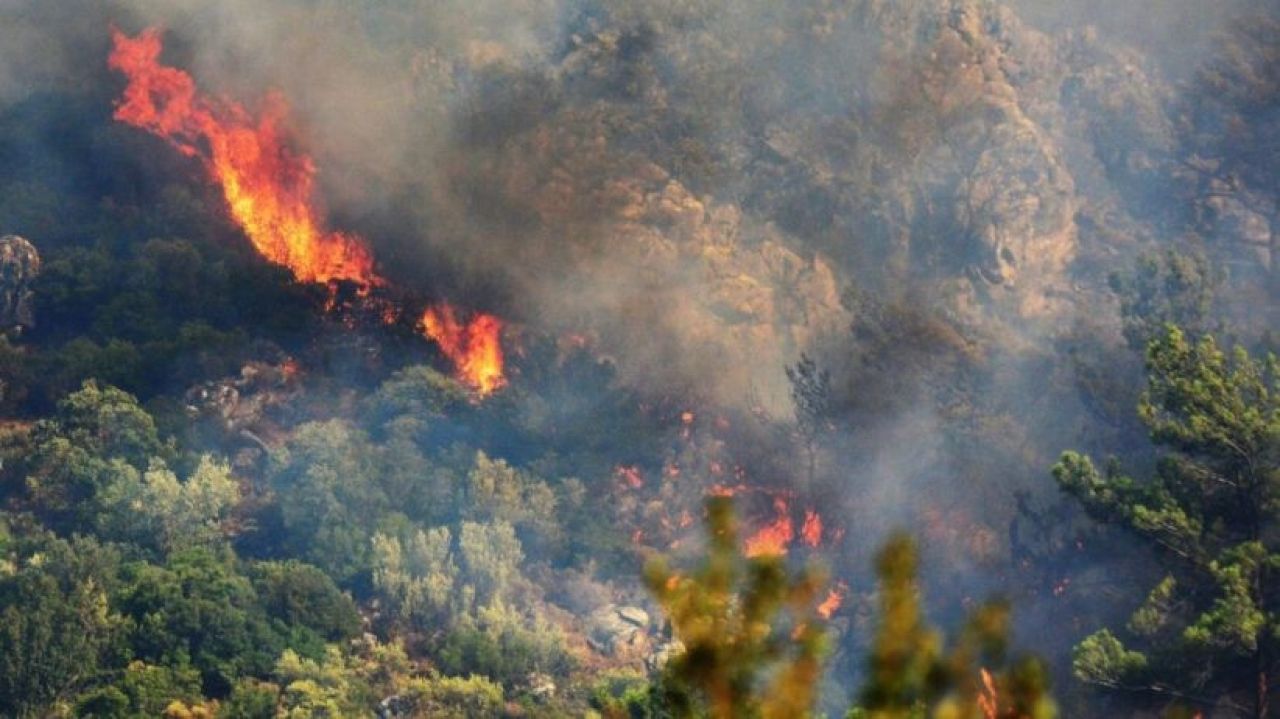 Գեղարքունիքում և Տավուշում շարունակվում են նոյեմբերի 21-ին բռնկված հրդեհի օջախների հրդեհաշիջման աշխատանքները