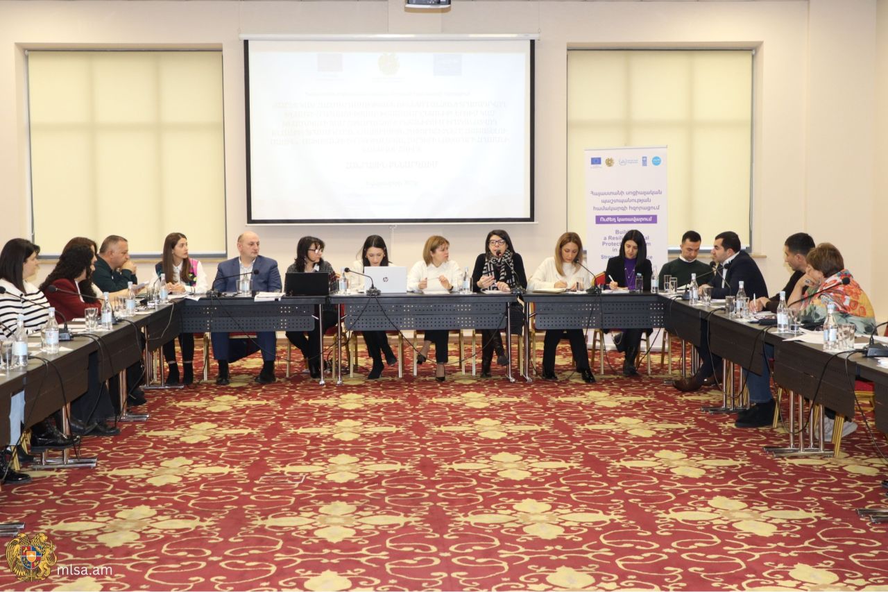 Քննարկվել են որոշակի խմբերի խնամքի ծառայությունների նվազագույն չափորոշիչներին առնչվող հարցեր