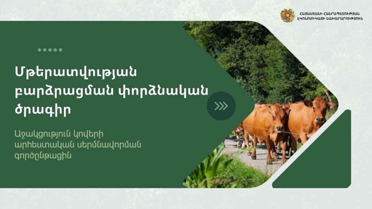 Հայտարարություն «Մթերատվության բարձրացման փորձնական ծրագրի» շրջանակներում նախատեսվող կովերի արհեստական սերմնավորման գործընթացի վերաբերյալ