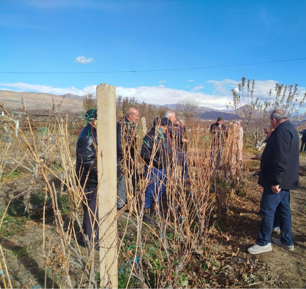 Երկօրյա մասնագիտական դասընթաց է կազմակերպել Վեդի համայնքի ֆերմերների համար