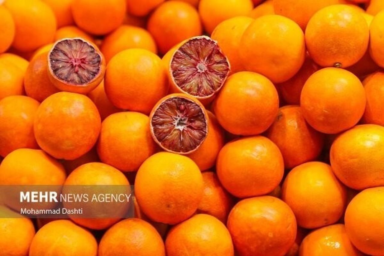 Իրանի Մազանդարանը 9 ամսում արտահանել է 60 հազար տոննա ցիտրուսային մրգեր
