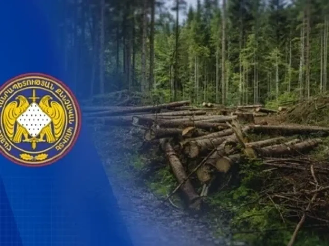 Ընկերության կողմից ոչնչացվել է 327 ծառ