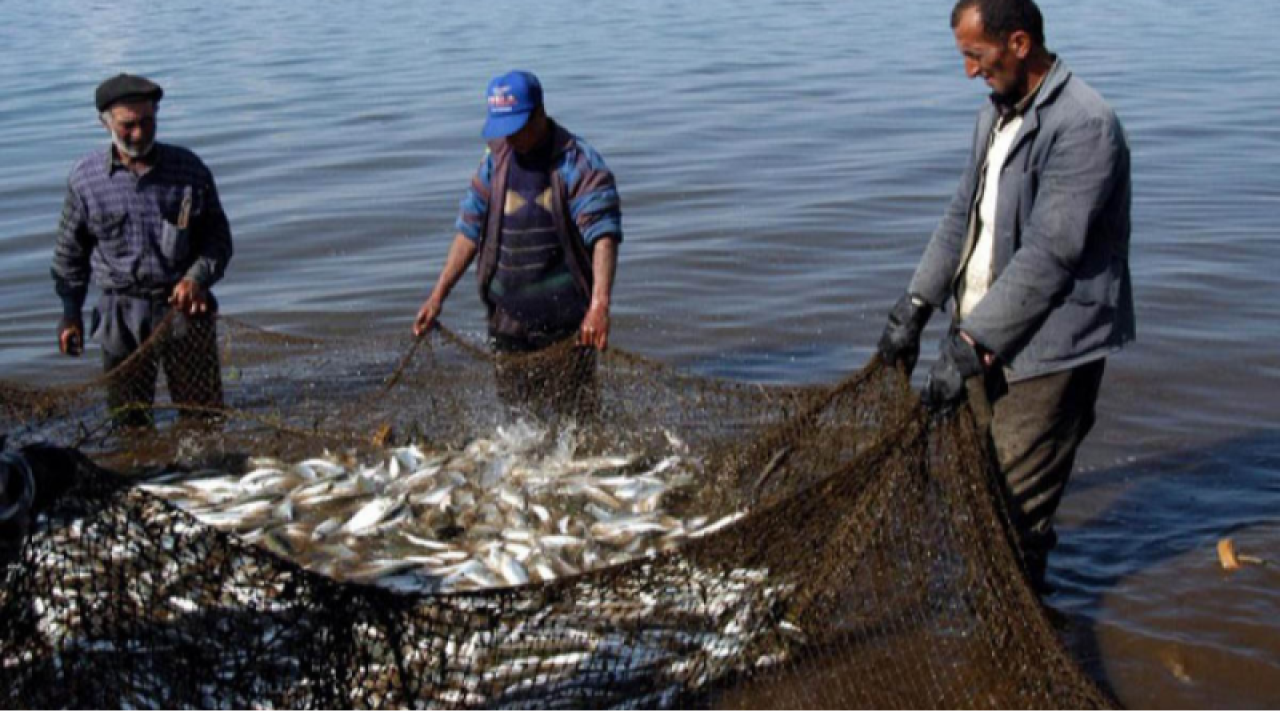 Փետրվարի 1-ից կթույլատրվի Սևանա լճից սիգ բռնել