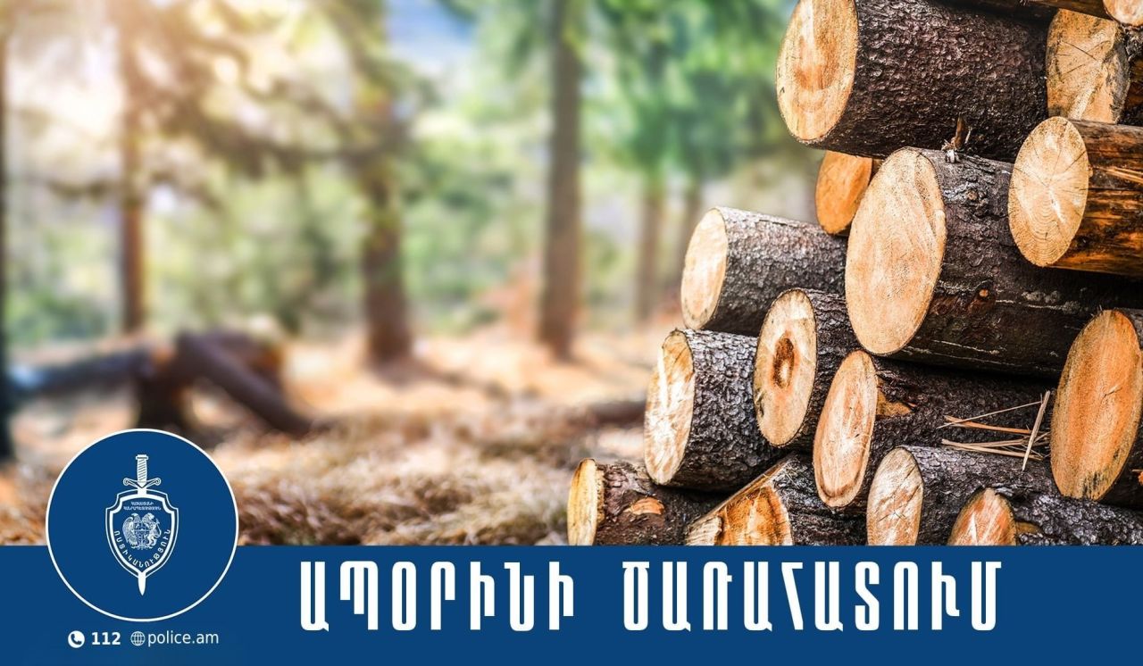 Անտառապետը ձերբակալվել և ներկայացվել է նախաքննական մարմին. ոստիկանների բացահայտումը
