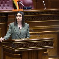 Վստահության աճ, բարեփոխումների գործընթացում բարձր նշաձող․ ՆԳ նախարարը Ազգային ժողովում ներկայացրել է 2025 թվականի կատարողականի արդյունքները
