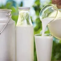 Գևորգ Պապոյան. Մթերվող կաթի գինը Կառավարությունը կսուբսիդավորի. տեսանյութ