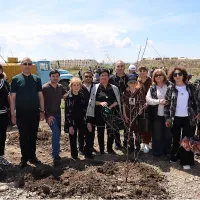 Գյումրիում հիմնվում է նոր անտառաշերտ