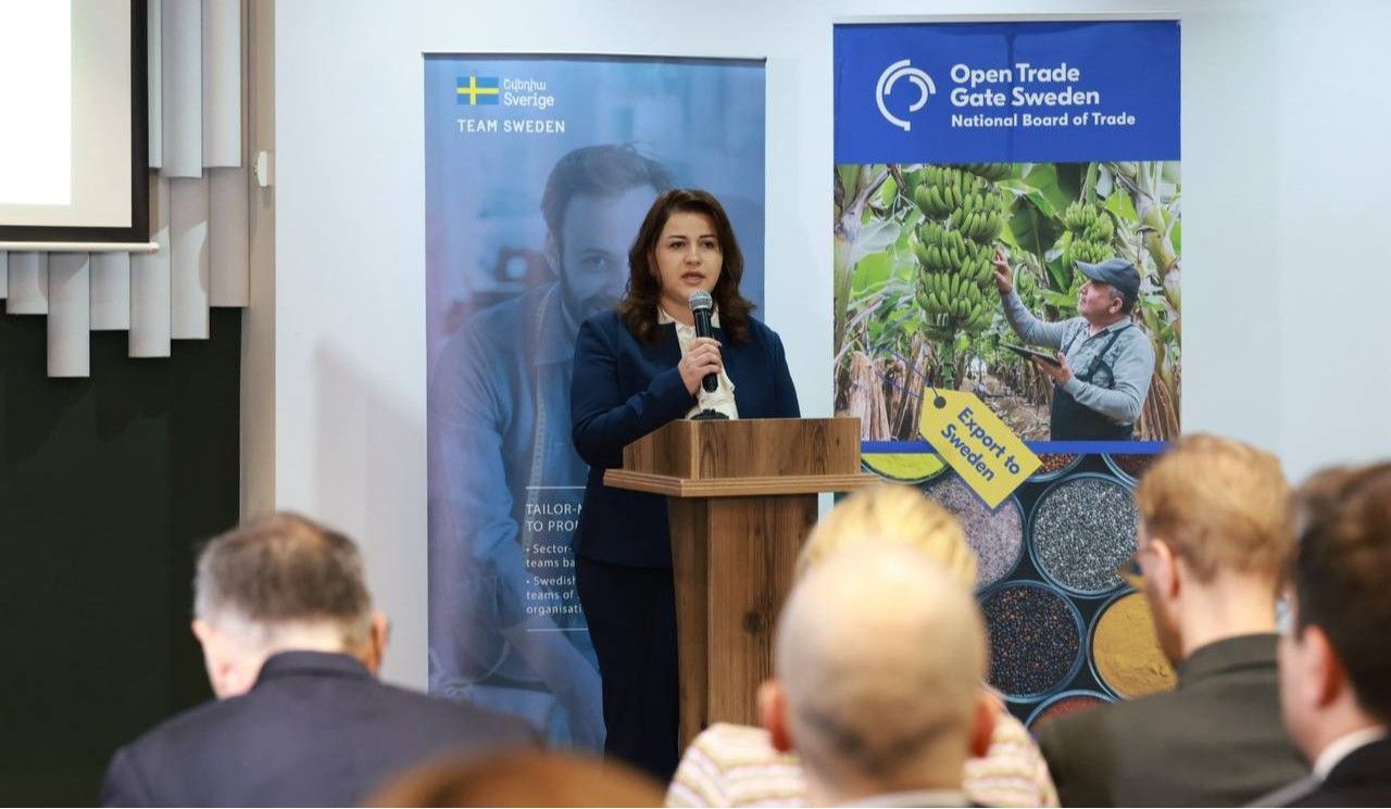 Հայաստանի տնտեսությունը զարգանում է ոչ միայն քանակապես, այլև որակապես. էկոնոմիկայի փոխնախարար