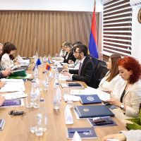 Շարունակվում է վիզաների ազատականացման գործողությունների ծրագրի արդյունավետ իրականացումը